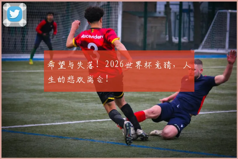 希望与失落!2026世界杯竞猜,人生的悲欢离合!